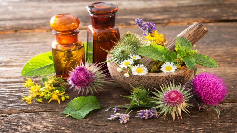 Die Vorteile jener Naturheilkunde wohnhaft bei Ihren Körper: Ein ganzheitlicher Methode zur Gesundheit Naturheilkunde