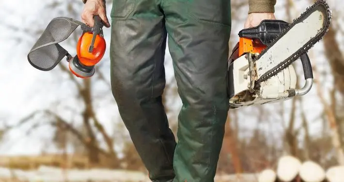 Wie Baumfällarbeiten bei der Beseitigung gefährlicher Bäume helfen Baumfällarbeiten